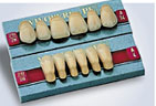 natural choice of colors Partial Dentures 2